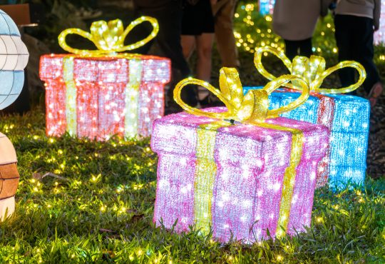 Decorated gift boxes with glowing lights on grass