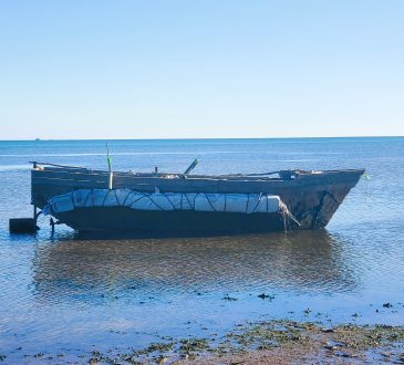 Los "balseros cubanos" son cubanos que emigran ilegalmente por mar, a menudo en embarcaciones precarias, hacia otros países en busca de mejores condiciones de vida.