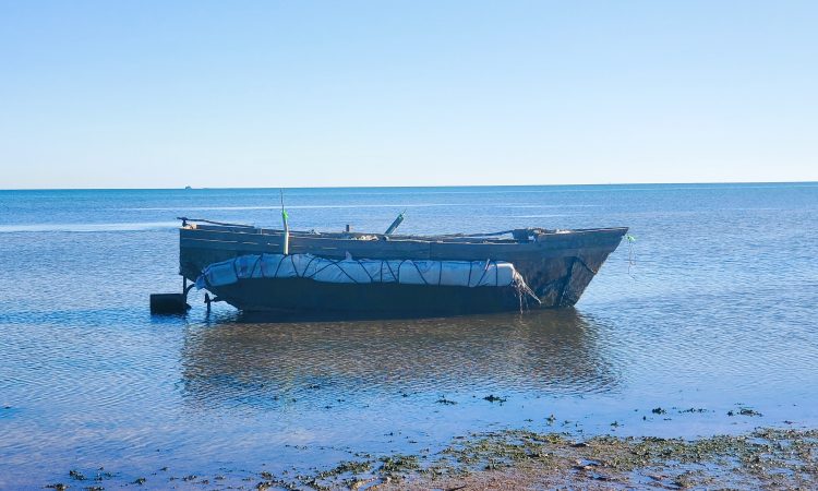 Los "balseros cubanos" son cubanos que emigran ilegalmente por mar, a menudo en embarcaciones precarias, hacia otros países en busca de mejores condiciones de vida.